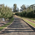 Road — Landscape & Gardening in Charlestown, NSW