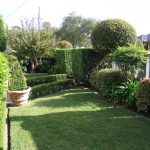 Garden — Landscape & Gardening in Charlestown, NSW