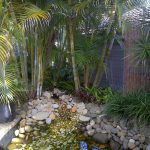 Pond — Landscape & Gardening in Charlestown, NSW